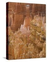 Thor's Hammer, Bryce Canyon National Park, Utah, United States of America, North America-Jean Brooks-Stretched Canvas