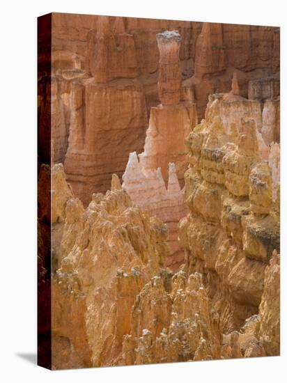 Thor's Hammer, Bryce Canyon National Park, Utah, United States of America, North America-Jean Brooks-Stretched Canvas