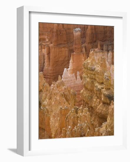 Thor's Hammer, Bryce Canyon National Park, Utah, United States of America, North America-Jean Brooks-Framed Photographic Print