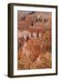 Thor's Hammer, Bryce Canyon National Park, Utah, United States of America, North America-Jean Brooks-Framed Photographic Print