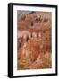 Thor's Hammer, Bryce Canyon National Park, Utah, United States of America, North America-Jean Brooks-Framed Photographic Print