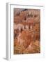 Thor's Hammer, Bryce Canyon National Park, Utah, United States of America, North America-Jean Brooks-Framed Photographic Print