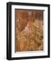 Thor's Hammer, Bryce Canyon National Park, Utah, United States of America, North America-Jean Brooks-Framed Photographic Print