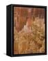 Thor's Hammer, Bryce Canyon National Park, Utah, United States of America, North America-Jean Brooks-Framed Stretched Canvas