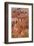 Thor's Hammer, Bryce Canyon National Park, Utah, United States of America, North America-Jean Brooks-Framed Photographic Print