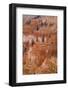 Thor's Hammer, Bryce Canyon National Park, Utah, United States of America, North America-Jean Brooks-Framed Photographic Print