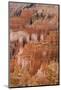 Thor's Hammer, Bryce Canyon National Park, Utah, United States of America, North America-Jean Brooks-Mounted Photographic Print