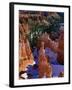 Thor's Hammer During Winter, Yellowstone National Park, USA-Carol Polich-Framed Photographic Print