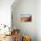 Thor's Hammer from the Navajo Loop Trail on a Partially Cloudy Day-Eleanor Scriven-Photographic Print displayed on a wall