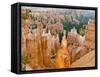 Thor's Hammer, Hoodoo, Bryce Canyon National Park, Utah, USA-Tom Norring-Framed Stretched Canvas