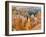 Thor's Hammer, Hoodoo, Bryce Canyon National Park, Utah, USA-Tom Norring-Framed Premium Photographic Print