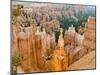 Thor's Hammer, Hoodoo, Bryce Canyon National Park, Utah, USA-Tom Norring-Mounted Premium Photographic Print