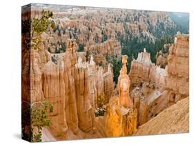 Thor's Hammer, Hoodoo, Bryce Canyon National Park, Utah, USA-Tom Norring-Stretched Canvas