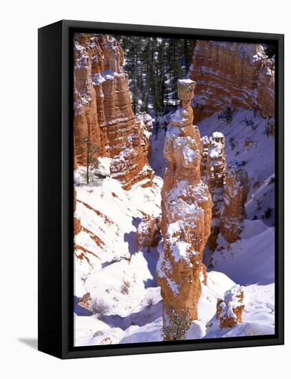 Thor's Hammer Hoodoo in Bryce Canyon National Park-James Randklev-Framed Stretched Canvas