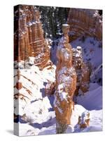 Thor's Hammer Hoodoo in Bryce Canyon National Park-James Randklev-Stretched Canvas