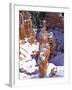 Thor's Hammer Hoodoo in Bryce Canyon National Park-James Randklev-Framed Photographic Print