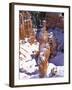 Thor's Hammer Hoodoo in Bryce Canyon National Park-James Randklev-Framed Photographic Print