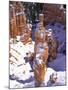 Thor's Hammer Hoodoo in Bryce Canyon National Park-James Randklev-Mounted Photographic Print