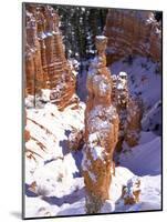 Thor's Hammer Hoodoo in Bryce Canyon National Park-James Randklev-Mounted Photographic Print
