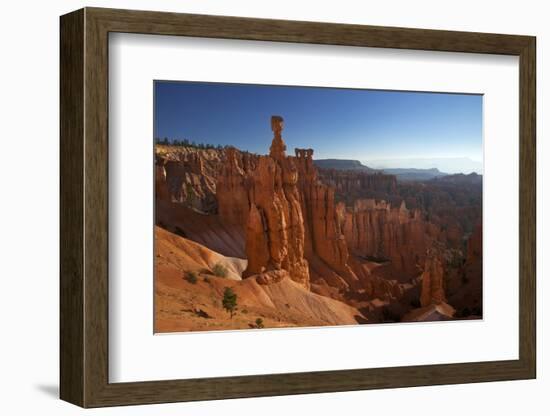 Thor's Hammer in Early Morning from Sunset Point, Bryce Canyon National Park, Utah, USA-Peter Barritt-Framed Photographic Print