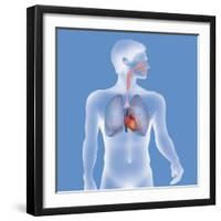 Thorax, Anatomy-Caroline Arquevaux-Framed Giclee Print