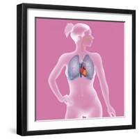 Thorax, Anatomy-Caroline Arquevaux-Framed Giclee Print