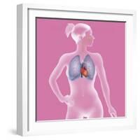 Thorax, Anatomy-Caroline Arquevaux-Framed Giclee Print