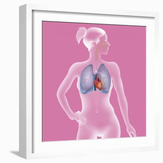 Thorax, Anatomy-Caroline Arquevaux-Framed Giclee Print