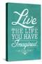 Thoreau Live The Life You Have Imagined Quote-null-Stretched Canvas