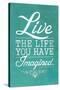 Thoreau Live The Life You Have Imagined Quote-null-Stretched Canvas