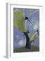 Thorn and Seed II, 1958-John Armstrong-Framed Giclee Print