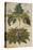 Thornapple; Datura Stramonium and Mandrake; Mandragora Autumnalis. from 'Camerarius Florilegium'-Joachim Camerarius-Stretched Canvas