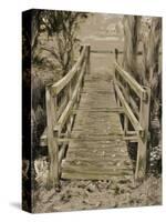 Thornham Bridge Sketch-Tim Kahane-Stretched Canvas