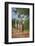 Thornicroft's Giraffe (Giraffa Camelopardalis Thornicrofti)-Janette Hill-Framed Photographic Print