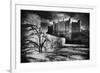 Thornton Abbey, Lincolnshire, England-Simon Marsden-Framed Giclee Print