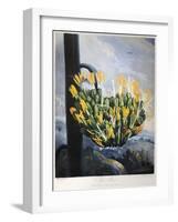 Thornton: Aloe-Caldwall-Framed Giclee Print