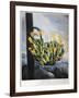 Thornton: Aloe-Caldwall-Framed Giclee Print