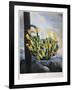 Thornton: Aloe-Caldwall-Framed Giclee Print