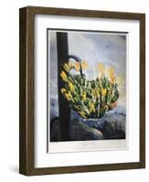 Thornton: Aloe-Caldwall-Framed Premium Giclee Print