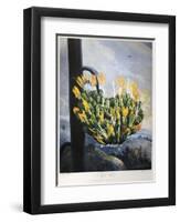 Thornton: Aloe-Caldwall-Framed Premium Giclee Print