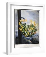Thornton: Aloe-Caldwall-Framed Premium Giclee Print