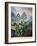 Thornton: Auriculas-Richard Earlom-Framed Giclee Print