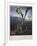 Thornton: Bog Plants-Thomas Sutherland-Framed Giclee Print