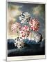 Thornton: Carnations-Caldwall-Mounted Giclee Print