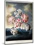 Thornton: Carnations-Caldwall-Mounted Giclee Print
