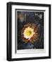 Thornton: Cereus-Robert Dunkarton-Framed Giclee Print