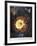 Thornton: Cereus-Robert Dunkarton-Framed Giclee Print