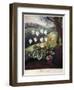 Thornton: Cyclamen-William Elmes-Framed Giclee Print