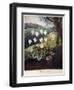 Thornton: Cyclamen-William Elmes-Framed Premium Giclee Print