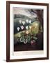 Thornton: Cyclamen-William Elmes-Framed Giclee Print